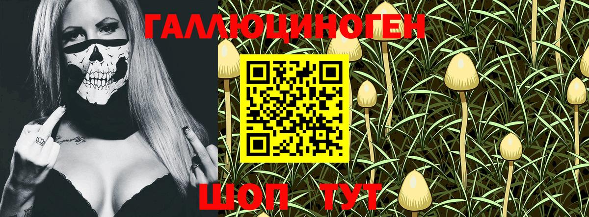купить наркотик  Псилоцибиновые грибы GOLDEN TEACHER  Вход с VPN  Лангепас 